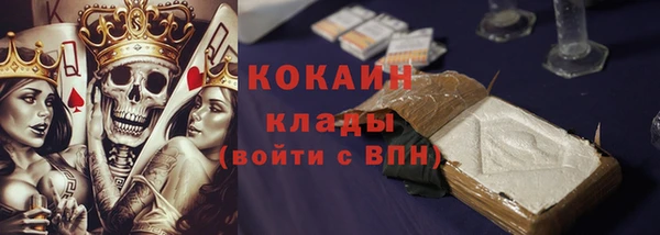 индика Абинск
