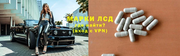 индика Абинск