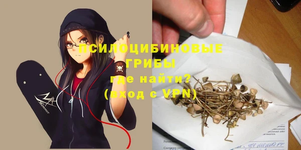 индика Абинск