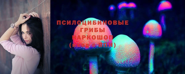 индика Абинск