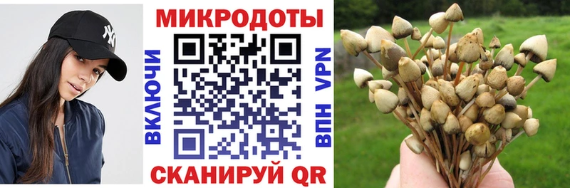 KRAKEN маркетплейс  Сургут  Псилоцибиновые грибы мицелий 